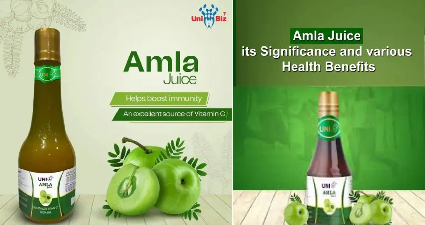 Unibiz Amla Juice